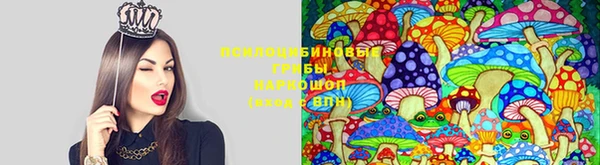 spice Михайлов