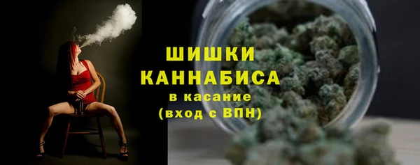 spice Михайлов