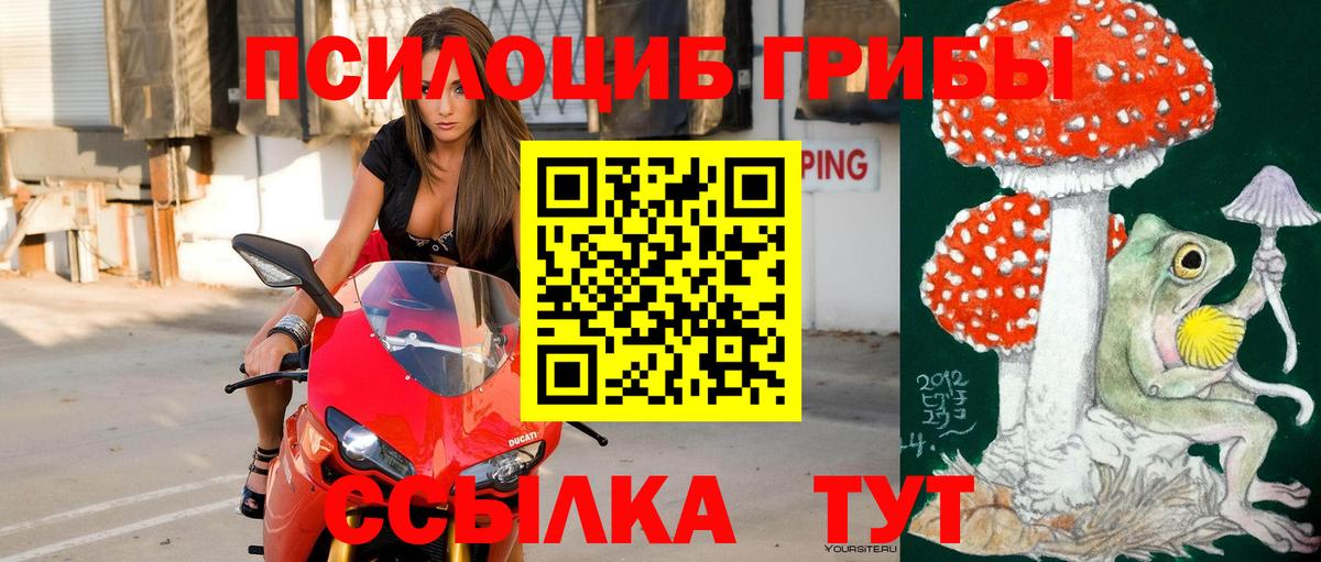 Псилоцибиновые грибы ЛСД Оренбург